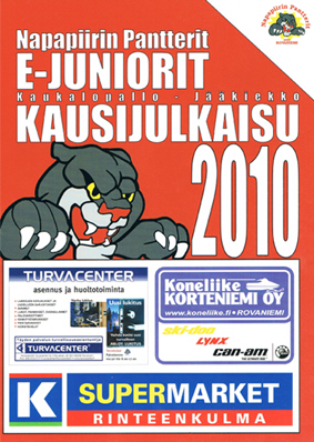 kausijulkaisu